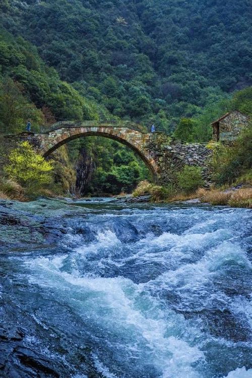 新昌：浙东山区县城的疫情防线与破防时刻