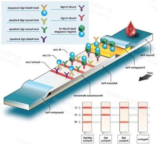 辰溪：沅水屏障下的低感染率样本解析