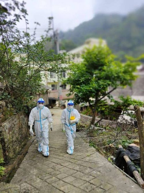 金乡县：鲁西南平原上的疫情防线与破防时刻