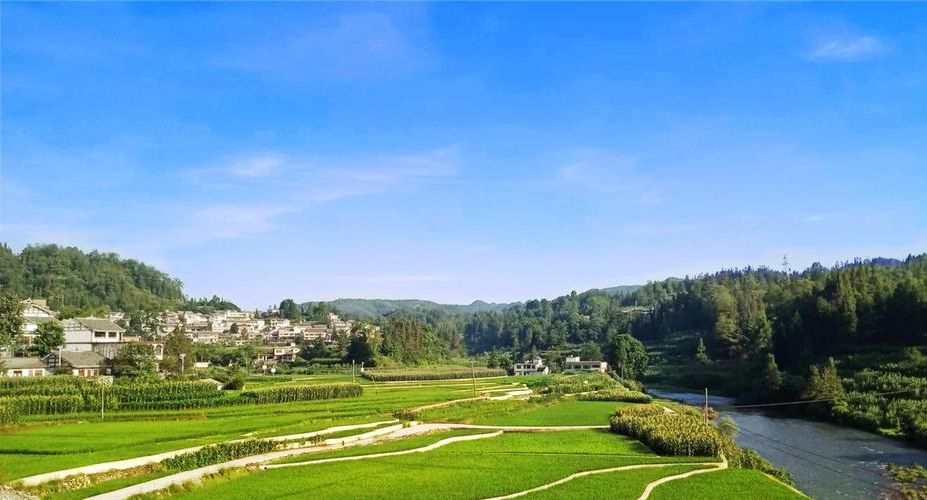 织金县新增1例无症状感染者  织金县疫情防控最新通报_14132