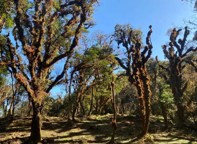 龙陵：高黎贡山屏障下的零感染坚守_69089