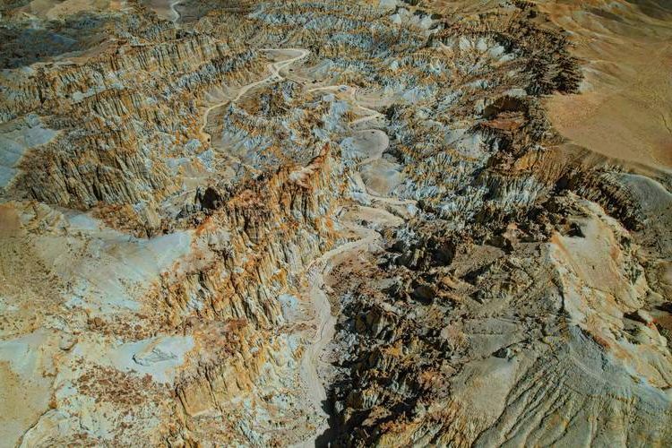 高原孤岛札达：地理屏障下的零感染样本