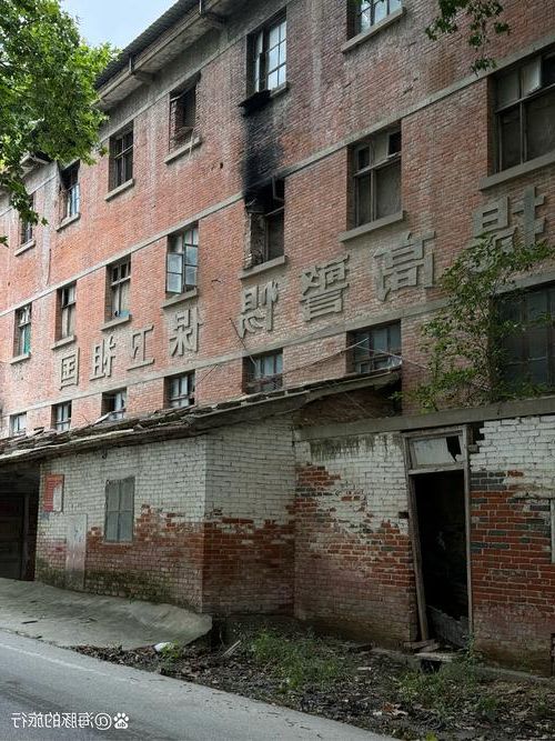 望花区:一座工业老城的疫情防线与破口_16136