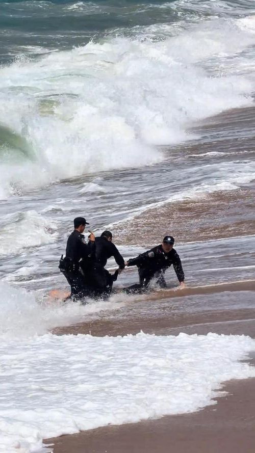 陵水：热带滨海旅游地的疫情防线与破防时刻