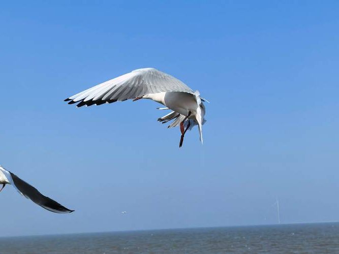 瓦房店市：渤海湾畔的疫情防线与零感染坚守
