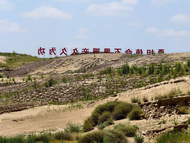 敖汉旗：沙地绿洲屏障下的零感染坚守_73593