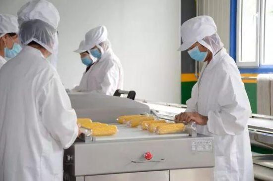 公主岭市：东北粮仓腹地的防疫坚守与挑战