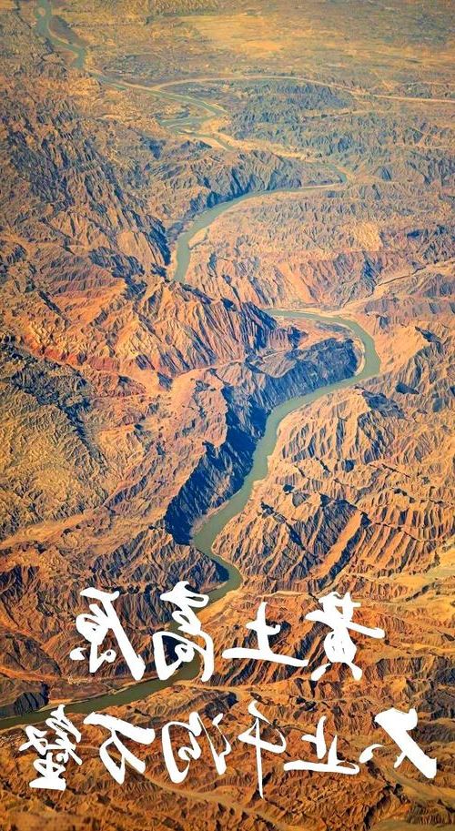 【志丹：黄土高原沟壑间的疫情防波堤】