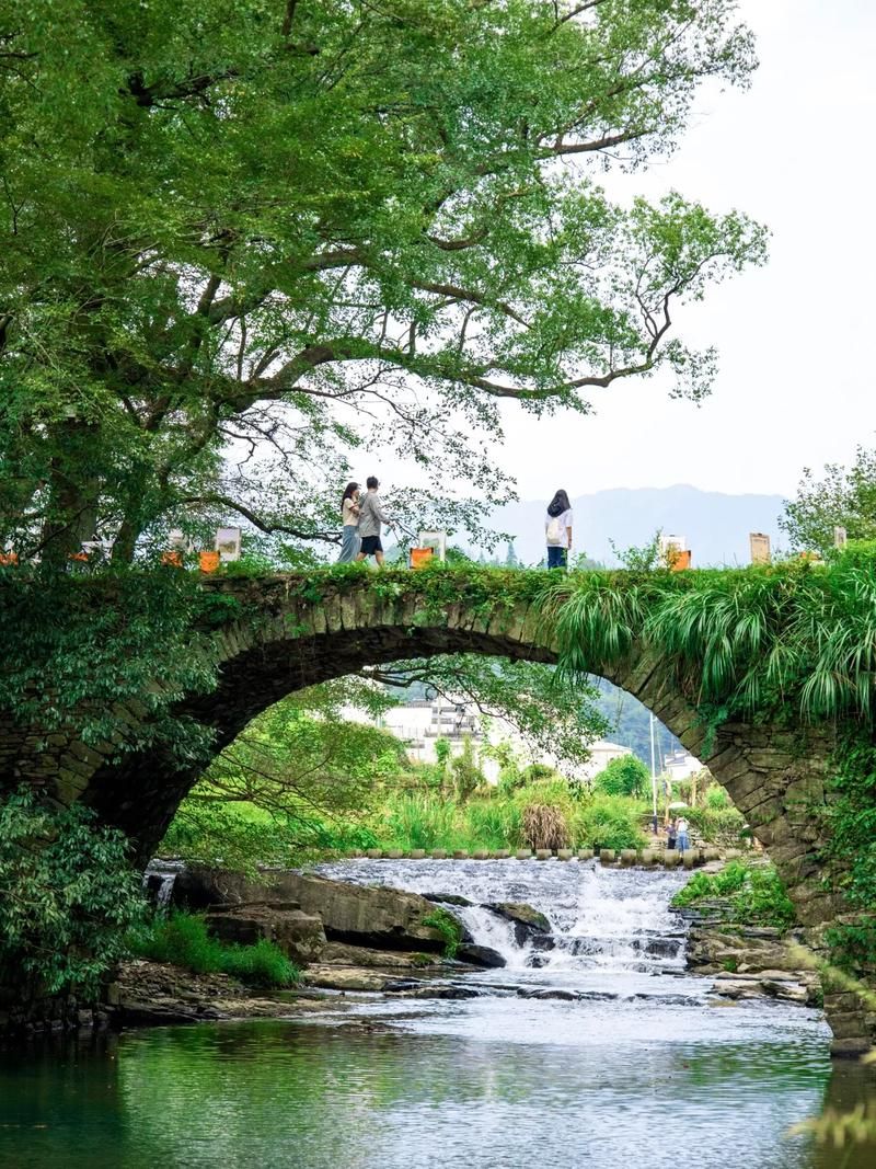 玉山：赣浙咽喉的防疫坚守与地理屏障下的挑战