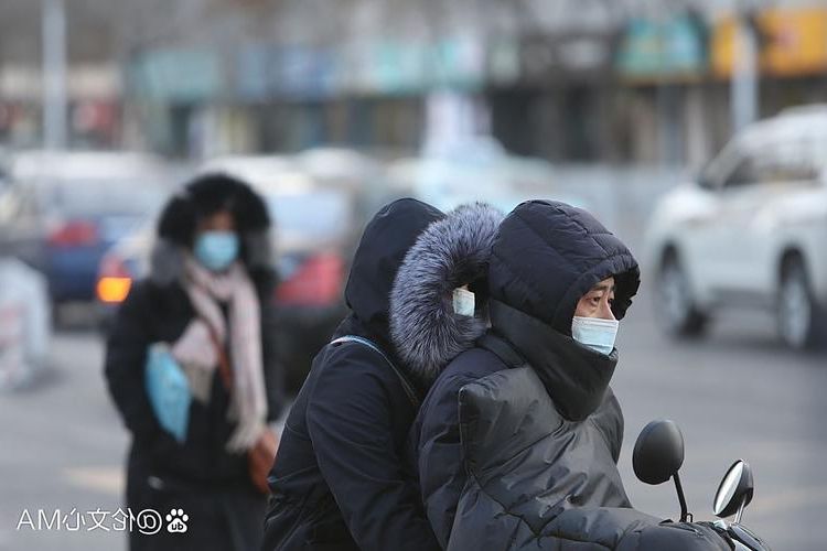 阿城寒地屏障下的隐匿传播：一场零下二十度的流调突围