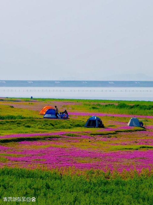 南昌县：鄱阳湖畔的防疫拉锯与交通枢纽考验