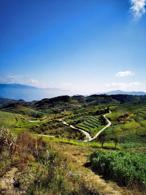 施甸坝子：滇西咽喉的静默屏障与零感染坚守