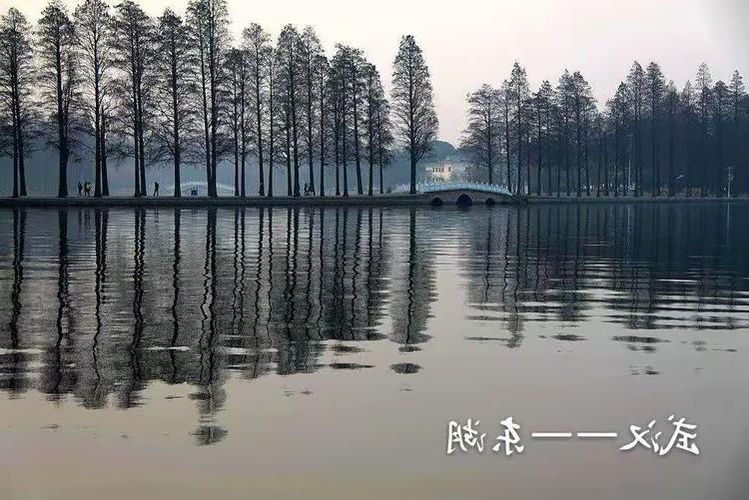 惠安:沿海县城的防疫地理学与零感染愿景