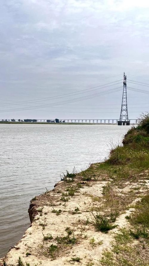 安居区：川中丘陵地带的疫情防波堤