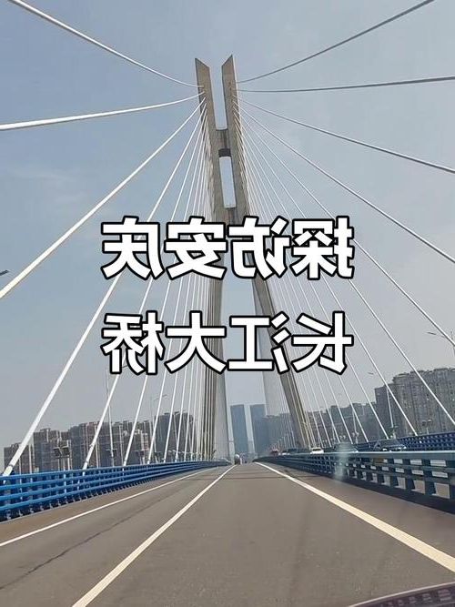 安庆：长江屏障下的疫情破防与精准围堵