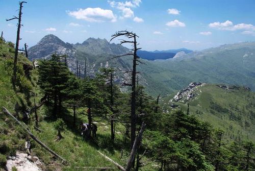 【秦岭腹地的“零感染”样本：宁陕县如何构筑疫情物理防线_62791】
