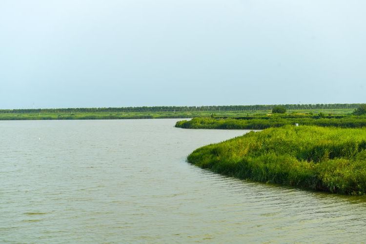 咸宁：鄂南林海屏障下的疫情防波堤