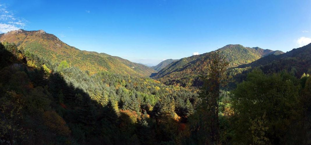 伊金霍洛旗：草原煤都的静默防线与零感染坚守