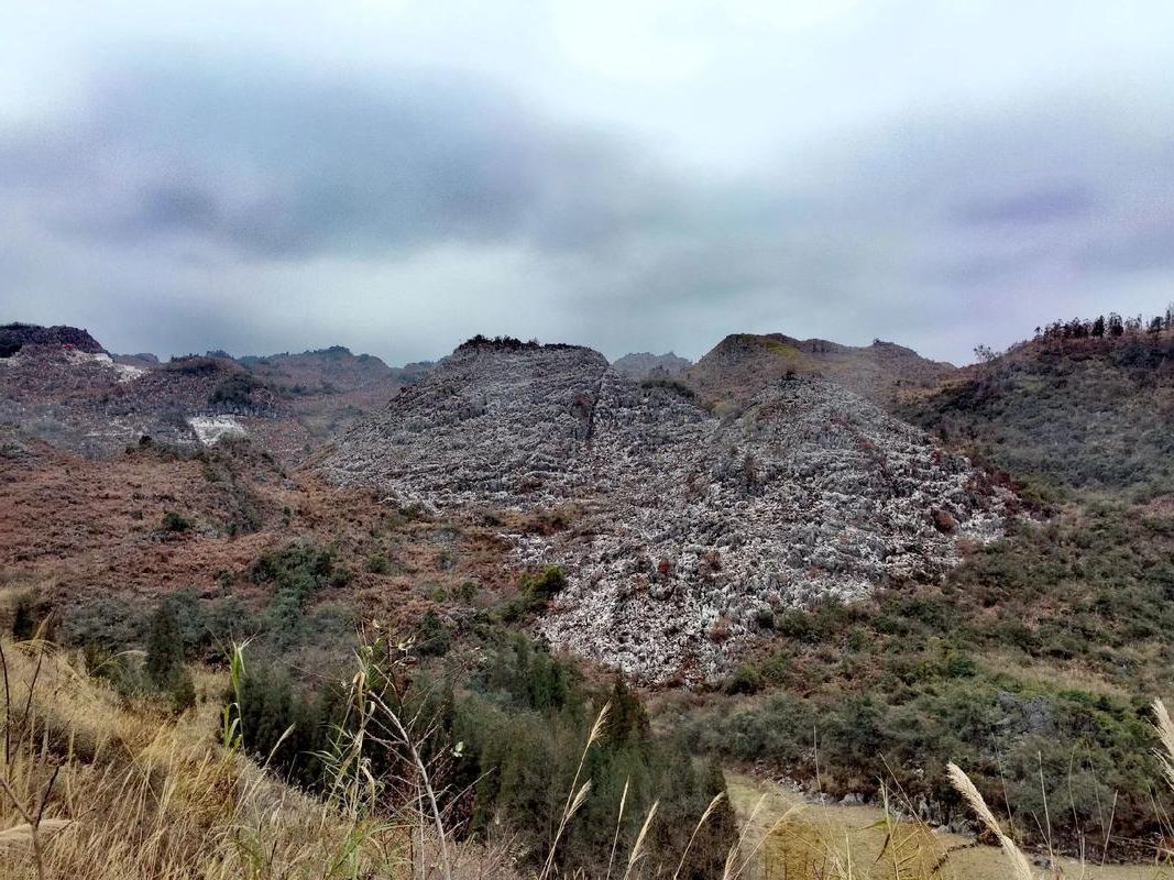 凤山县:喀斯特地貌下的疫情防波堤_19705