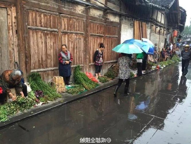 大邑:川西坝子上的防疫地理样本