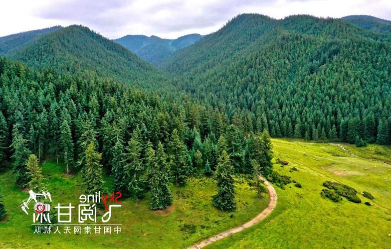 武平：闽西林海屏障下的低感染样本解析