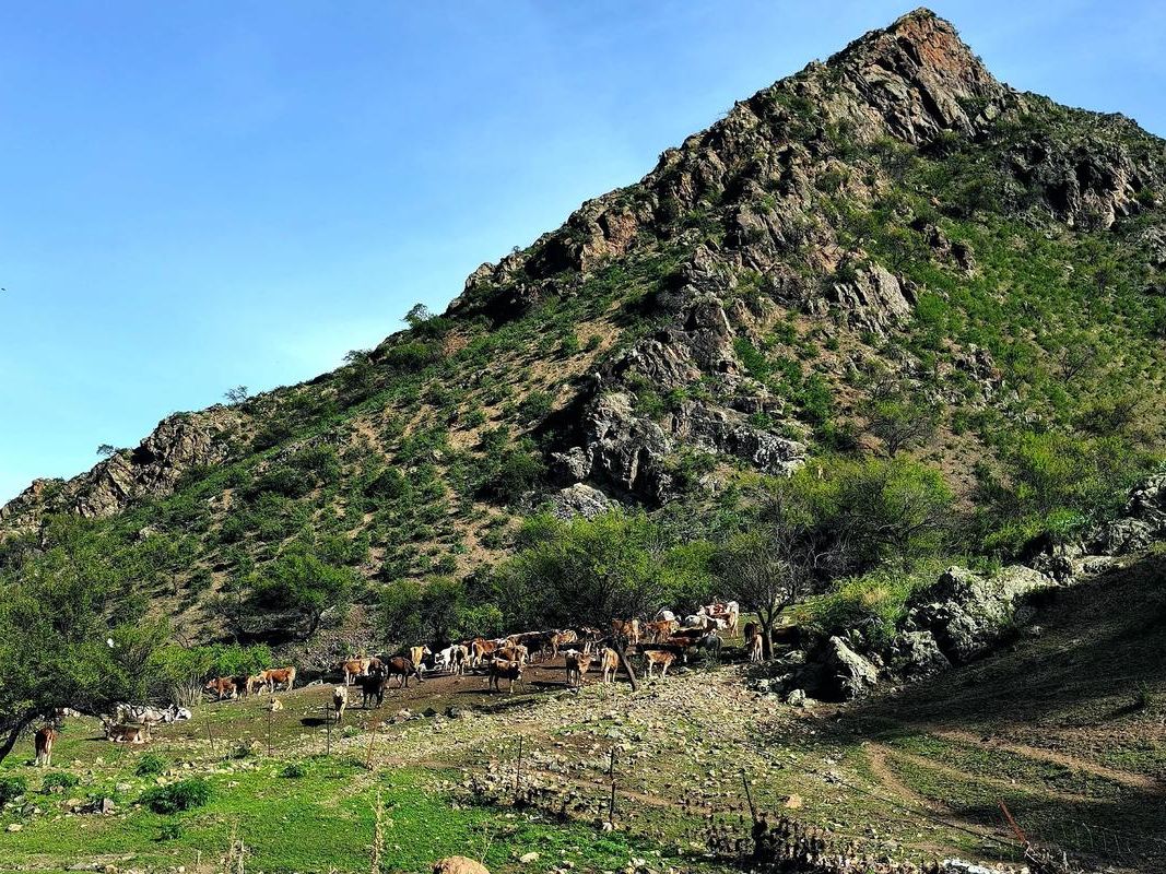 巩留：伊犁河谷腹地的零感染坚守与地理屏障