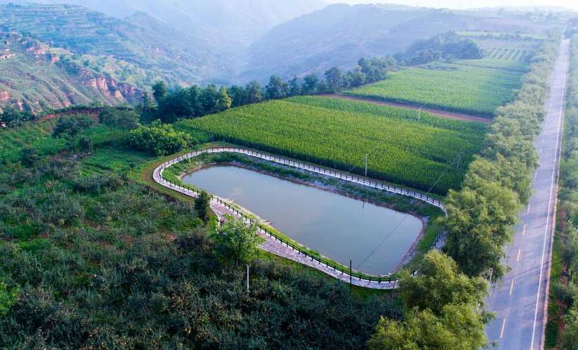 旬邑：黄土高原沟壑区如何构筑疫情防线