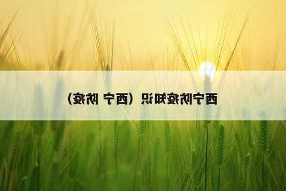 高原门户的防疫承压：西宁疫情波动中的地理与人口解析