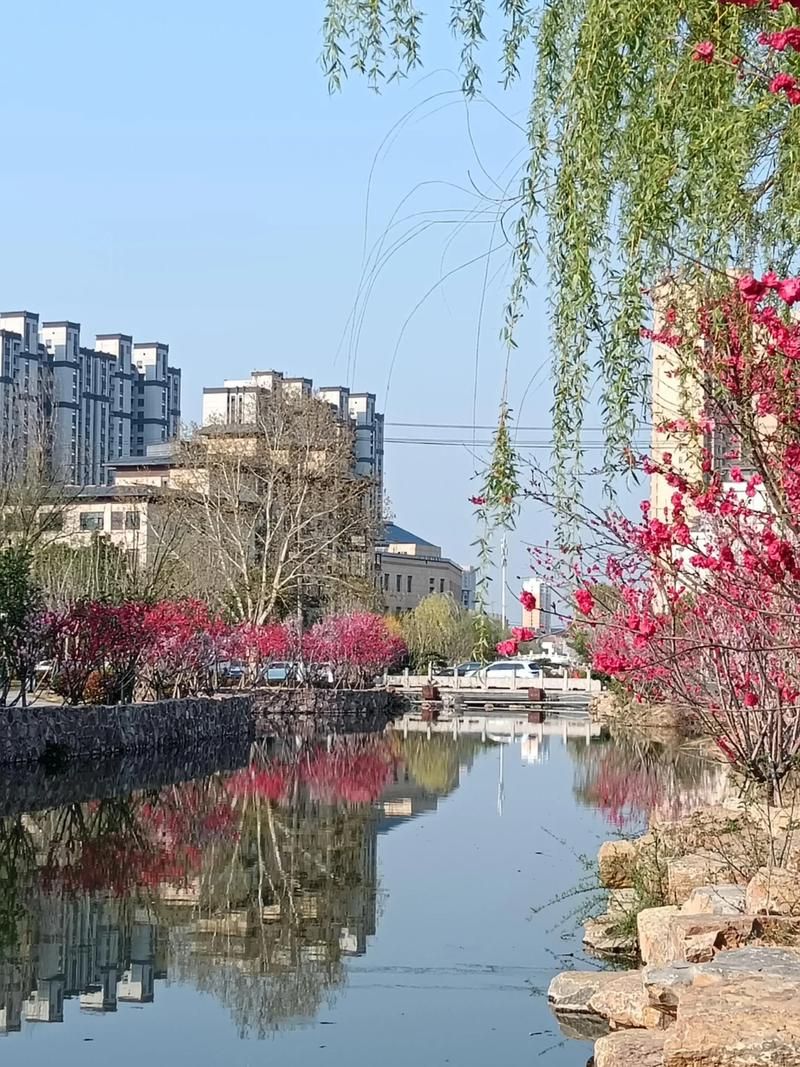 沈丘：豫东平原交通枢纽的疫情阻击战_24228