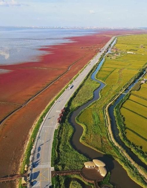 宁津：鲁北平原交通枢纽的疫情防波堤