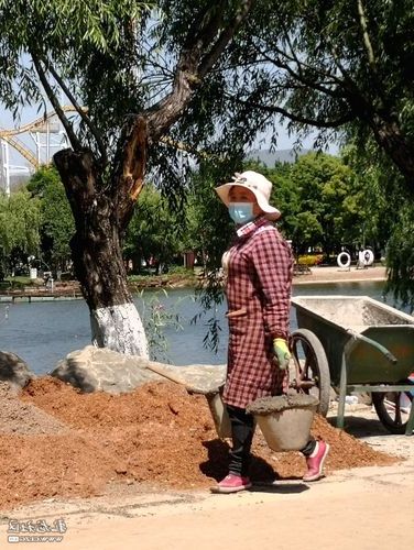 古城墙下的无声战场:襄城区社区传播链的防控解析