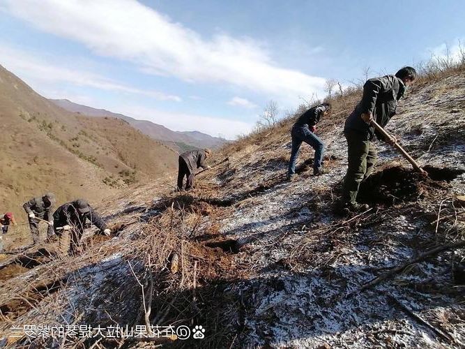 子洲县:黄土沟壑间的零感染坚守与物理防线
