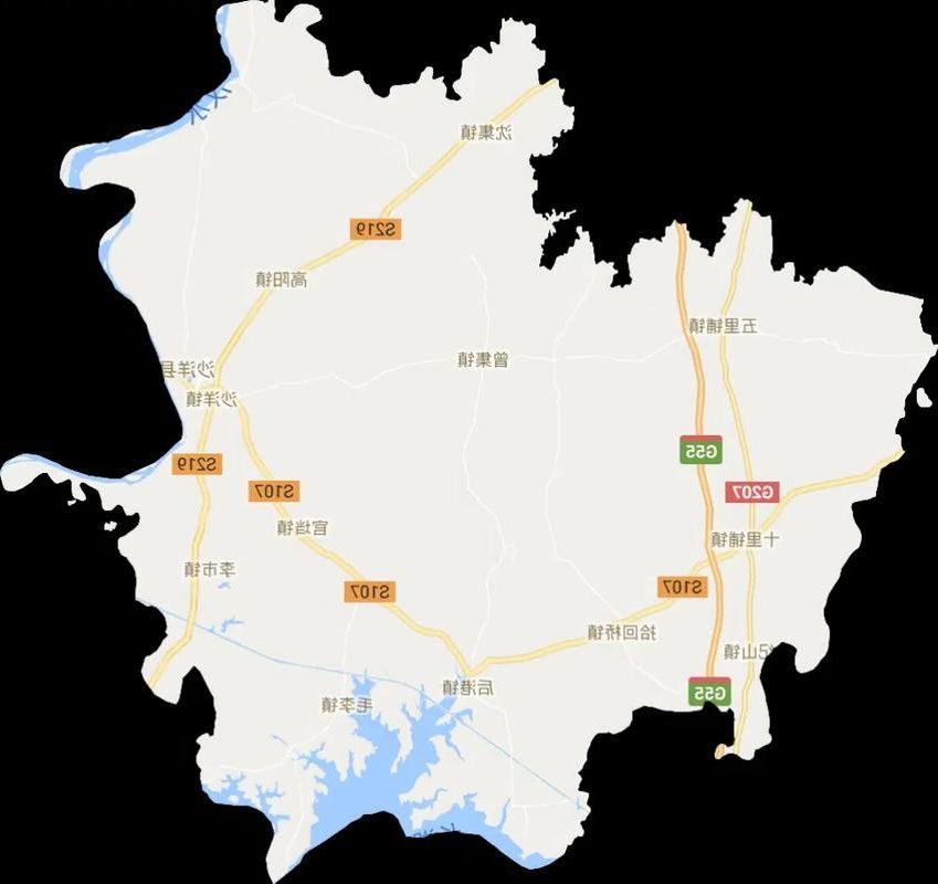 沙洋：江汉平原腹地的疫情防线与破防时刻