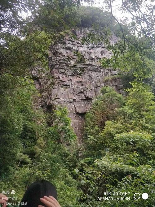 金秀瑶山屏障：地理隔绝下的零感染样本