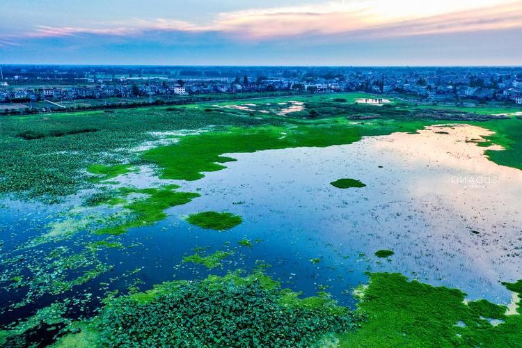 监利县：江汉平原水网下的防疫壁垒与破防时刻