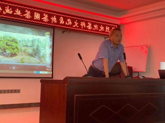 凤庆：滇西南茶乡的零感染屏障与常态化防控