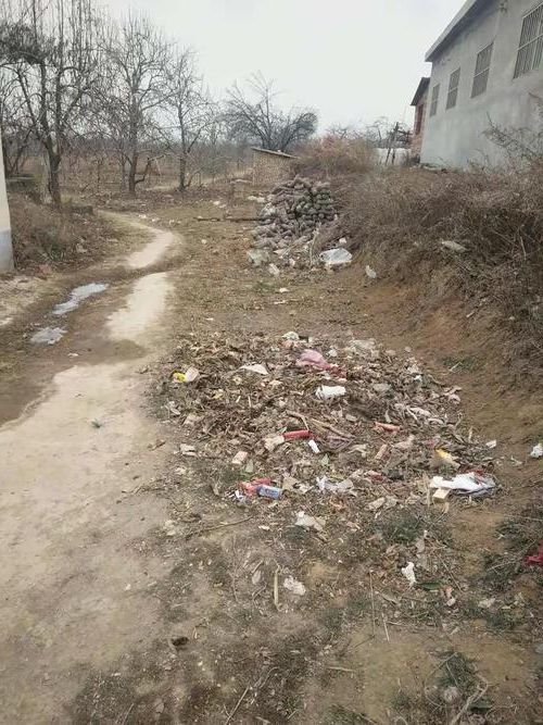 本地确诊+1，陕县通报新增病例情况