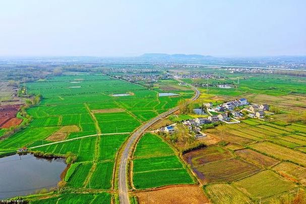 武邑县：华北平原腹地的疫情防线与零星破防
