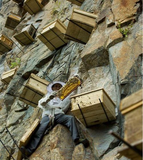 巫溪县：大巴山腹地的疫情防御样本