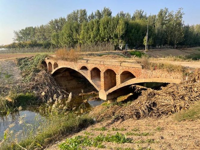 广饶县：鲁中平原腹地的疫情防波堤