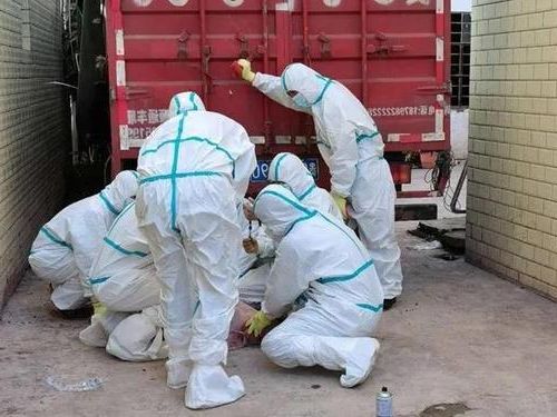 31省区市新增12例本土确诊,宁南县疫情最新消息_18020