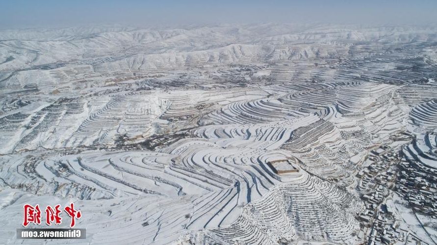 【定西:黄土高原的防疫屏障与零星破防】