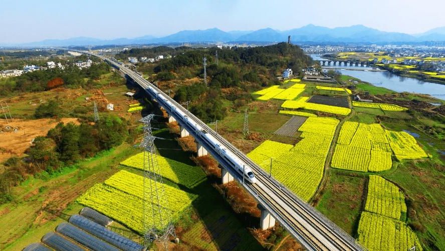 （3）坐标锚定： 黄浦江畔的防疫阵地：卢湾区老城厢结构下的疫情阻击战。