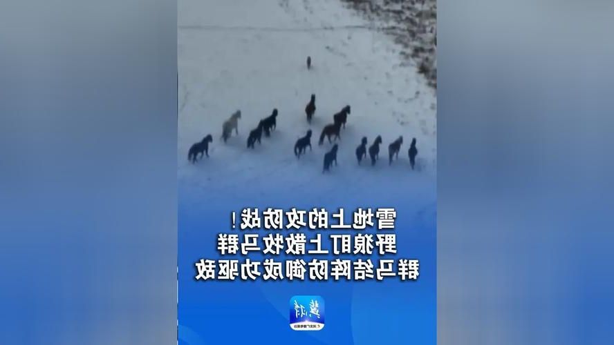 凤翔：关中平原上的防疫突围与地理屏障考验