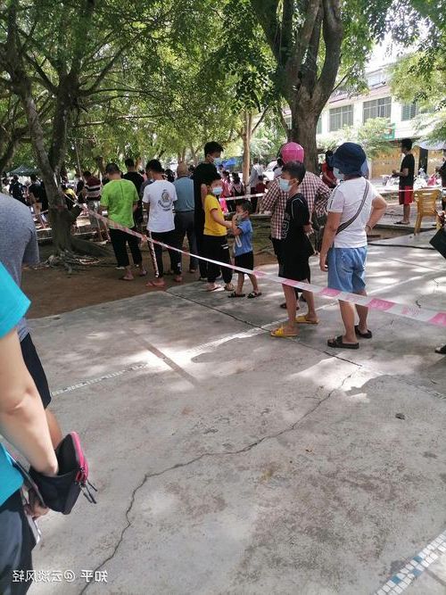 【31省新增本土12例，龙马潭区疫情最新消息】