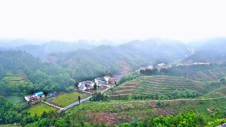 商南:秦岭屏障下的零感染坚守与防控逻辑