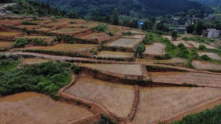 松桃:武陵山区交通节点下的防疫承压与应对