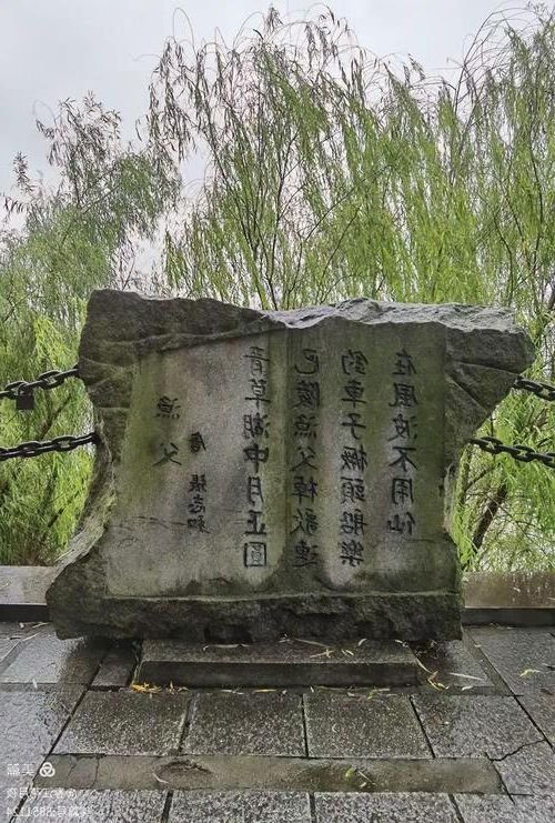 洞庭湖滨的防疫拉锯：岳阳楼区疫情波动的交通地理溯源