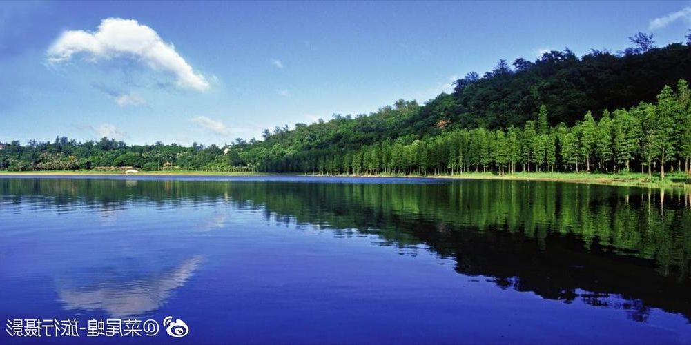 台南府城屏障：亚热带气候下的疫情防御逻辑