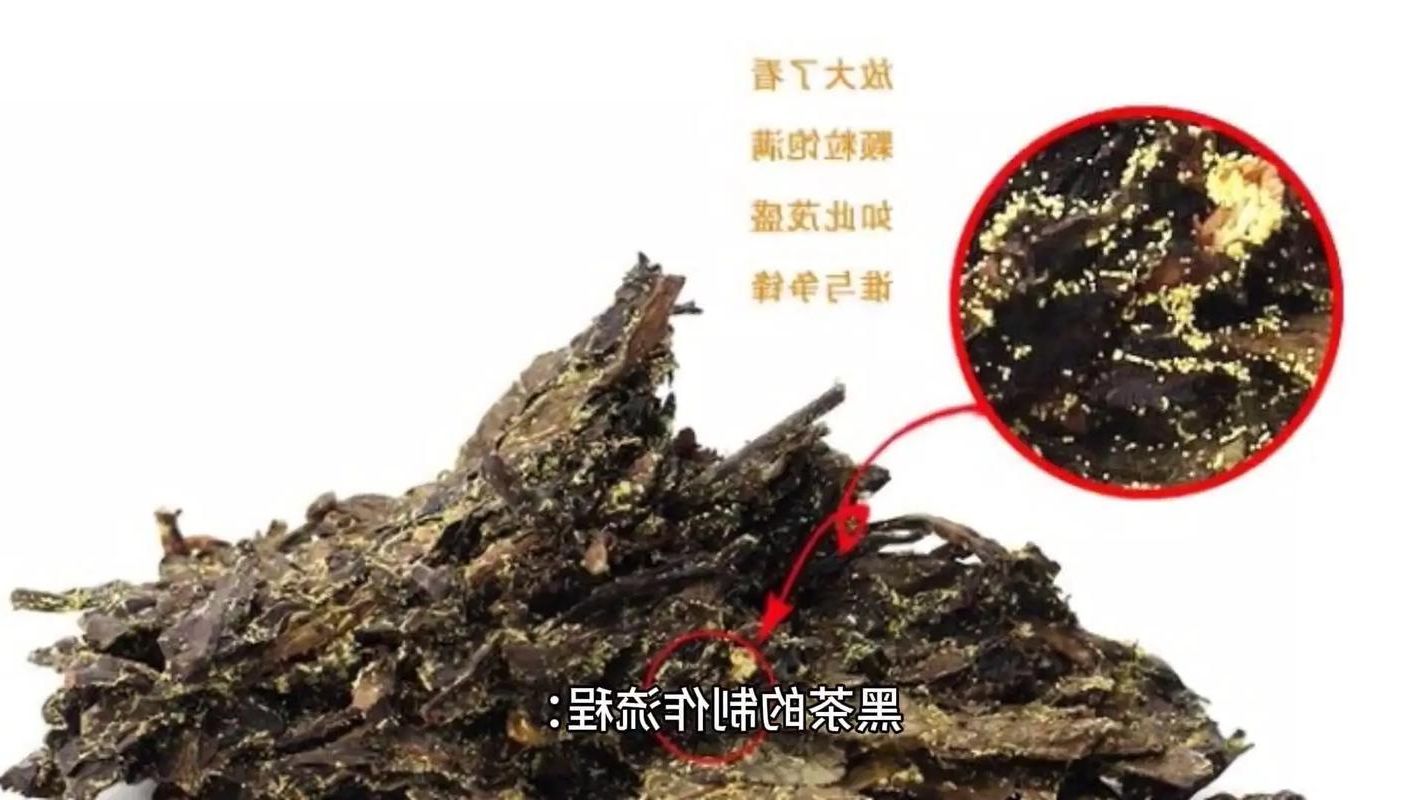 安化黑茶之乡的零感染屏障：地理优势下的防疫实践